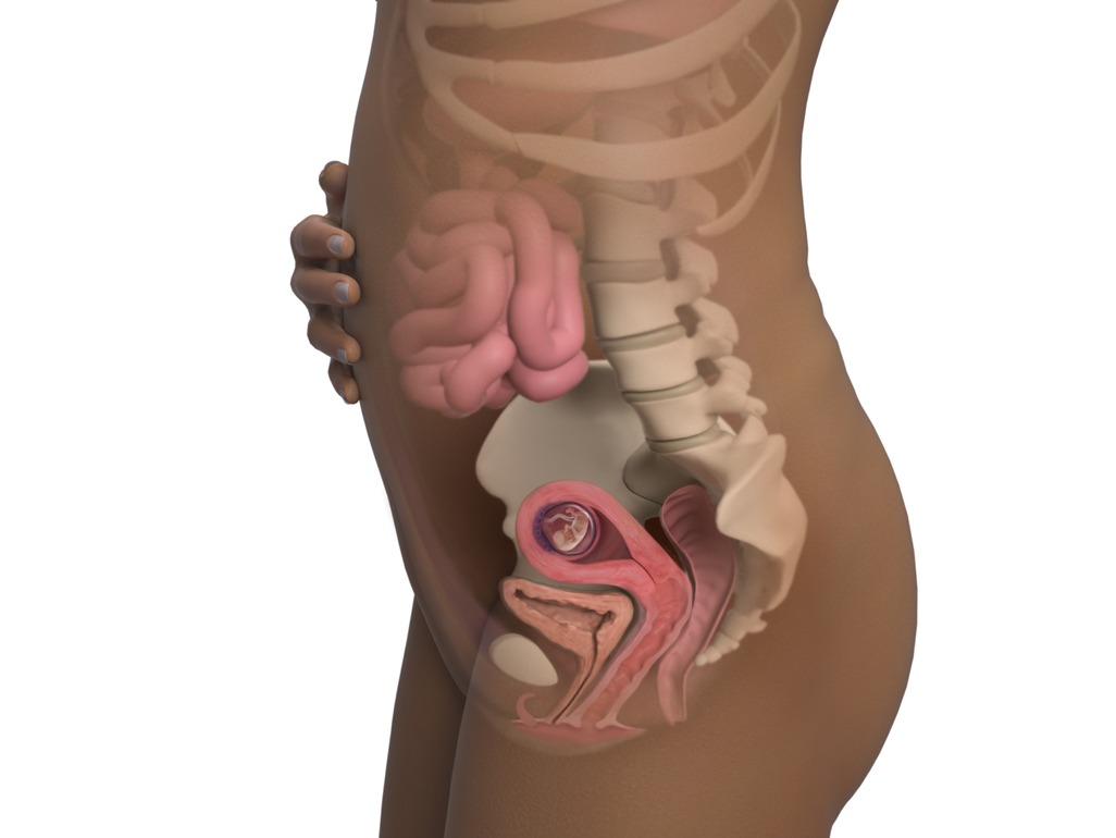 Image of a woman and her baby at 11 weeks of pregnancy.