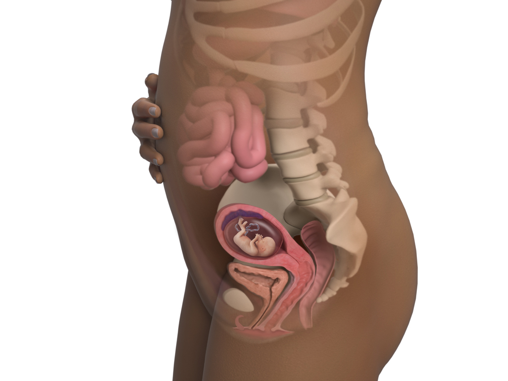 Image of a woman and her baby at 13 weeks of pregnancy.