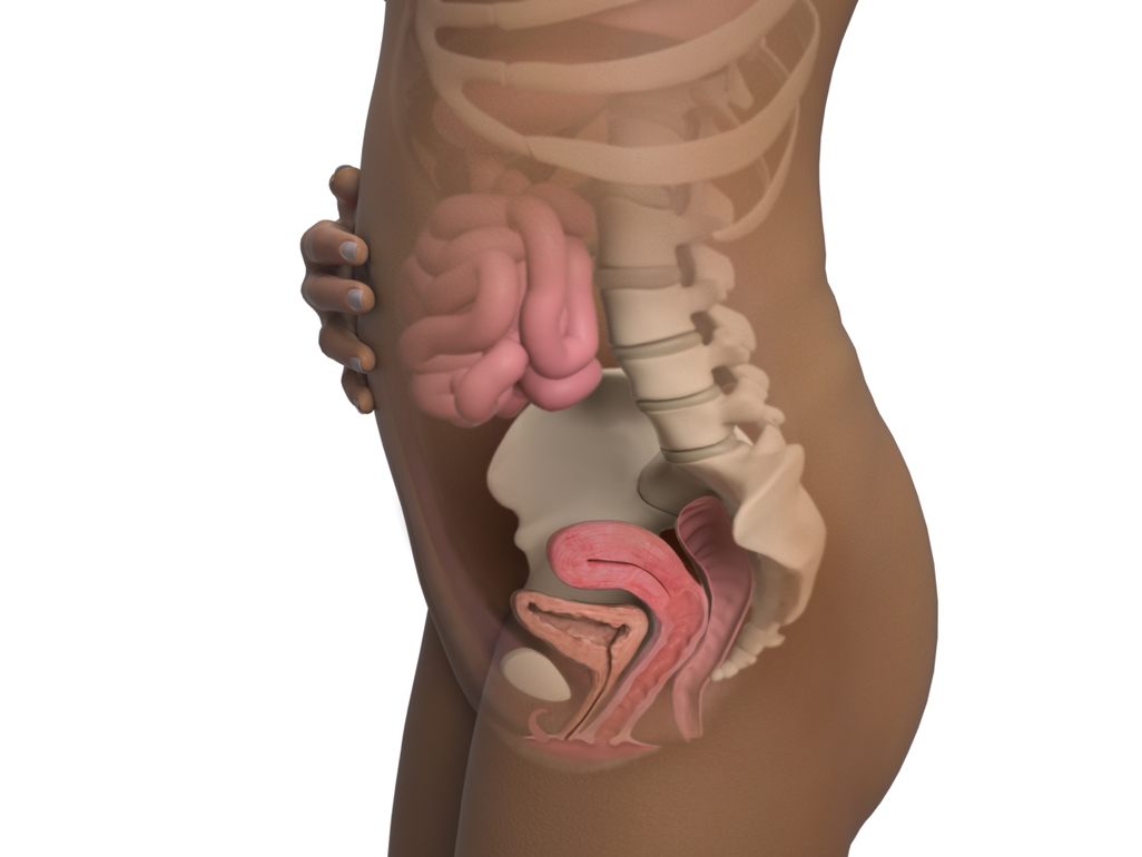 Image of a woman and her baby at 2 weeks of pregnancy.