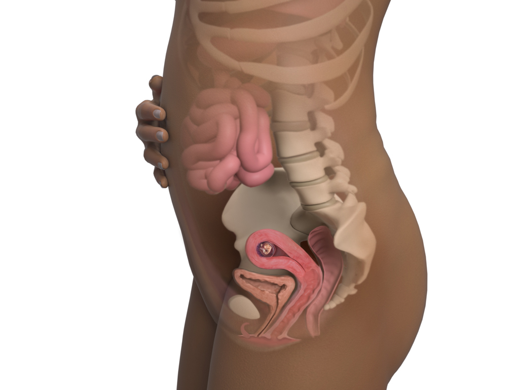 Image of a woman and her baby at 9 weeks of pregnancy.