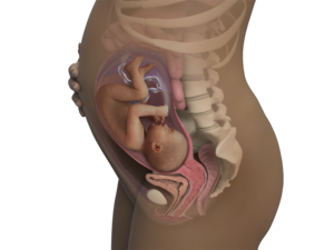 Image of a woman and her baby at 32 weeks of pregnancy