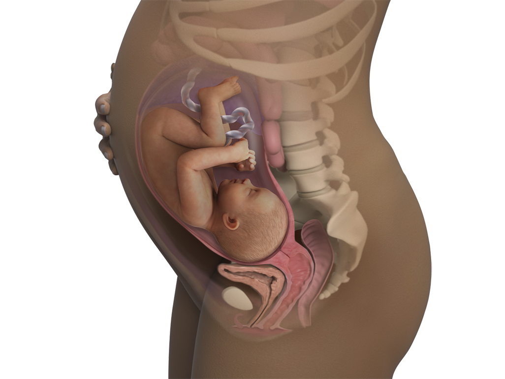 Image of a woman and her baby at 34 weeks of pregnancy.