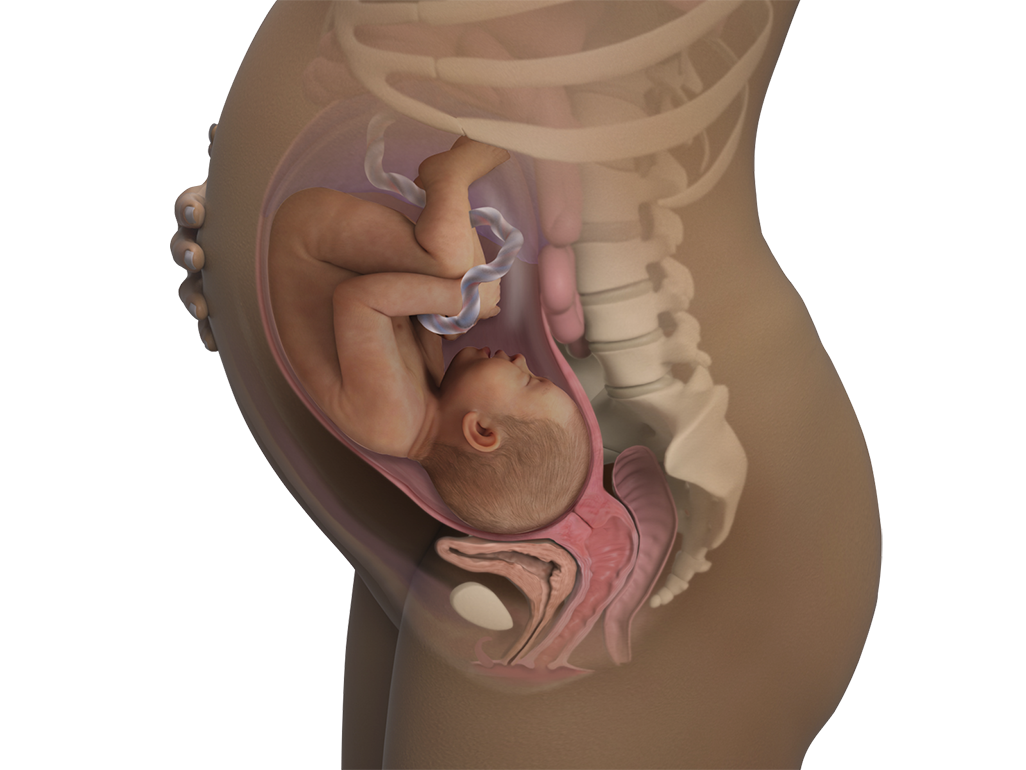 Image of a woman and her baby at 36 weeks of pregnancy.