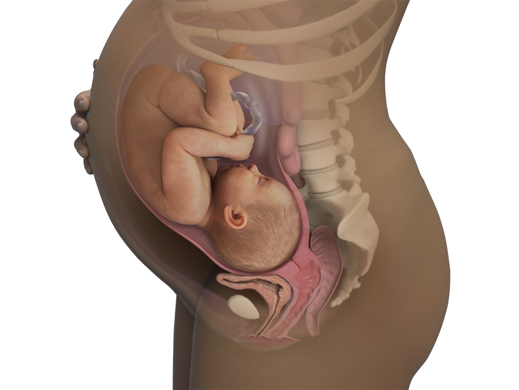 Image of a woman and her baby at 39 weeks of pregnancy