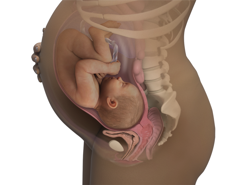 Image of a woman and her baby at 40 weeks of pregnancy